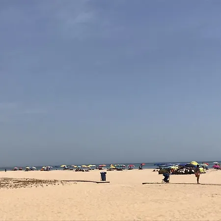 Lota * Vila Nova de Cacela