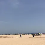 Lota * Vila Nova de Cacela